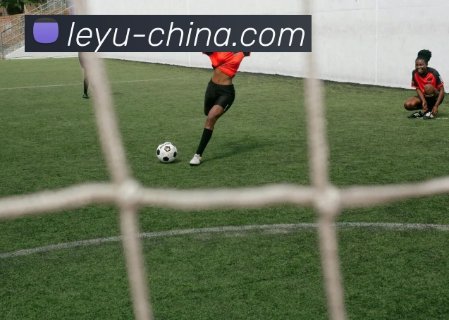 leyu：全球职业竞技赛事资讯与实时数据交互门户APP 高清赛事图